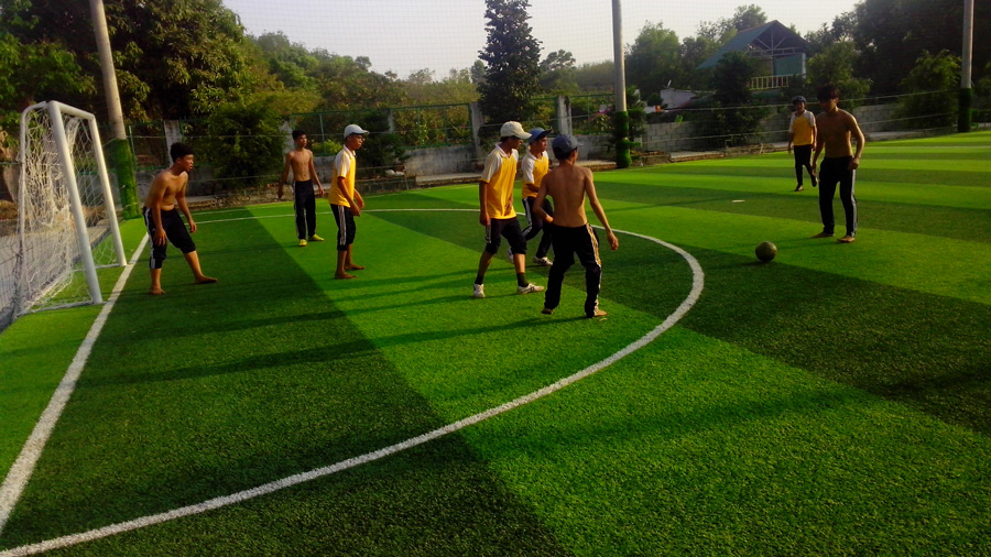 Cỏ nhân tạo sân bóng đá đồng nai